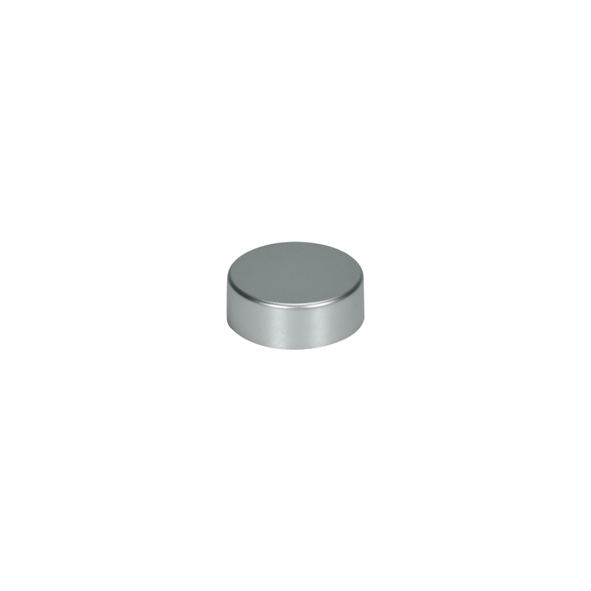 Tapa roscada, plástico ABS, plateado mate, para boca: GPI 33/400 Tapa roscada, plástico ABS, plateado mate, para boca: GPI 33/400