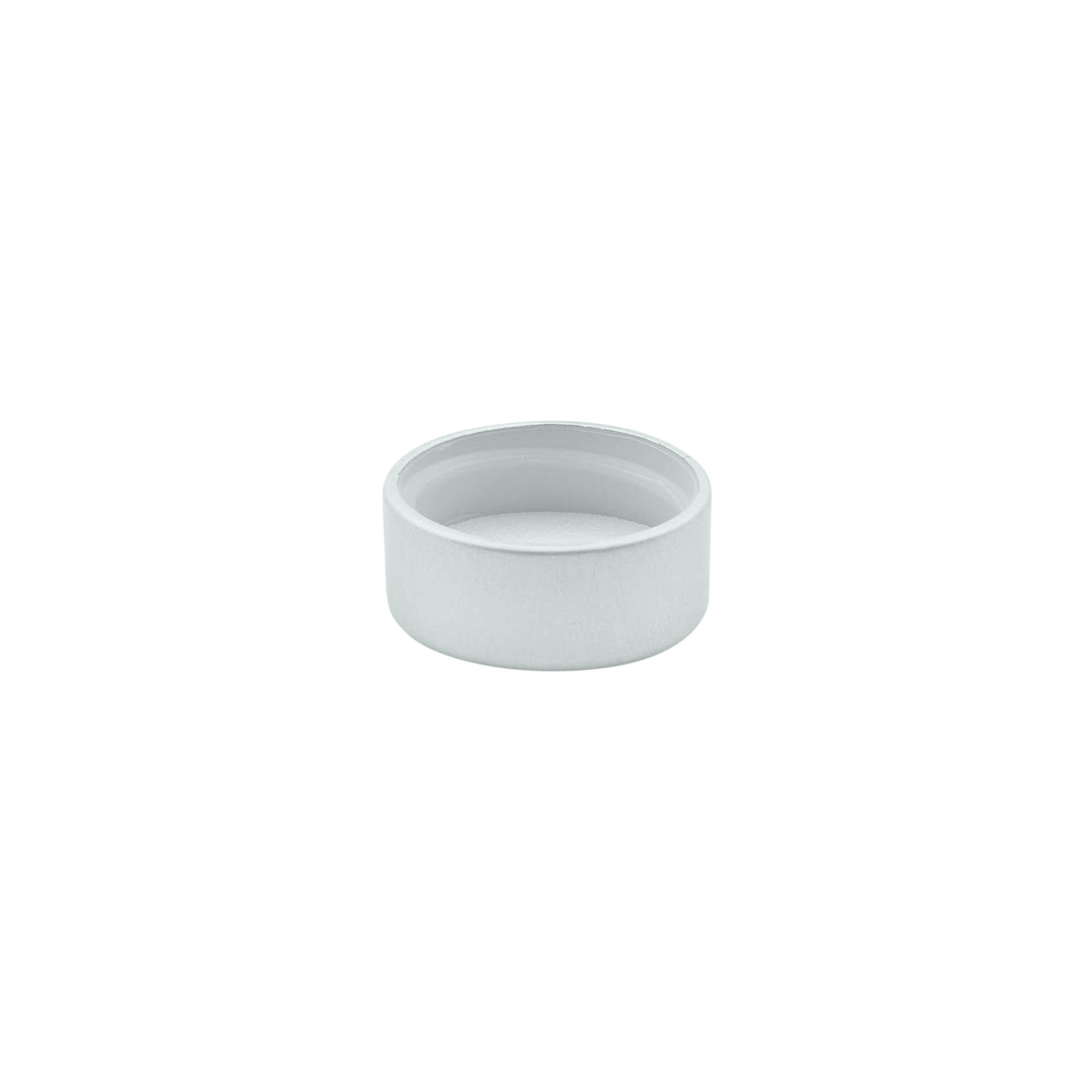 Tapa de rosca, plástico ABS, plateado, para boca: GPI 22/400