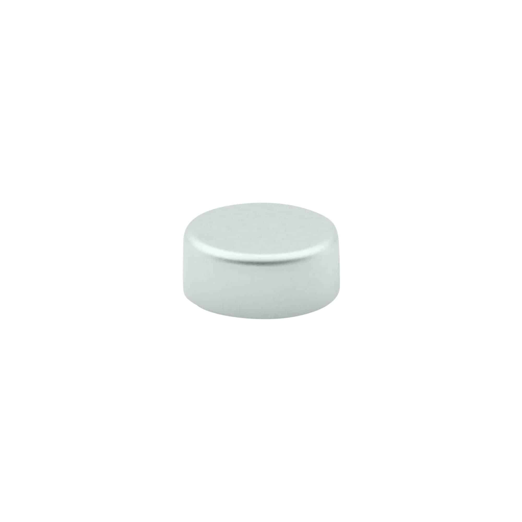Tapón de rosca, ABS, plateado, para boca: GPI 22/400