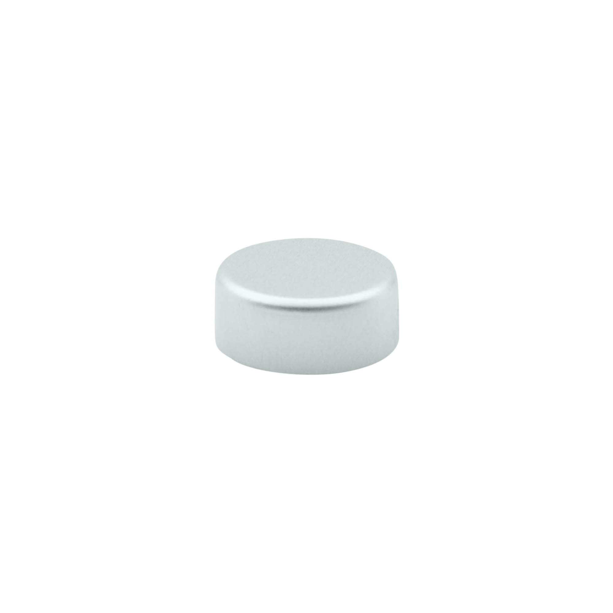 Tapa de rosca, plástico ABS, plateado, para boca: GPI 22/400 Tapa de rosca, plástico ABS, plateado, para boca: GPI 22/400