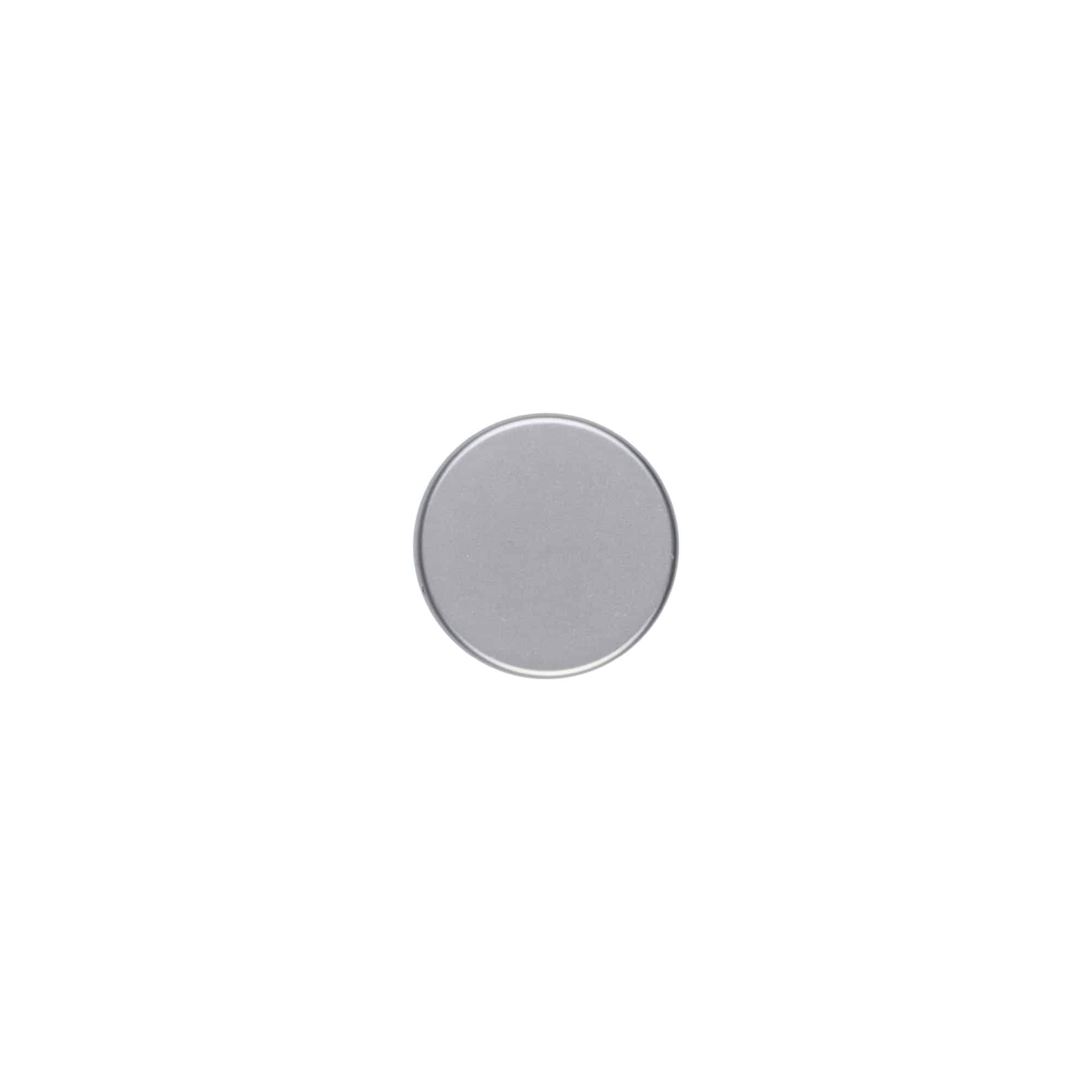 Tapón de rosca, plástico ABS, plateado mate, para boca: GPI 33/400