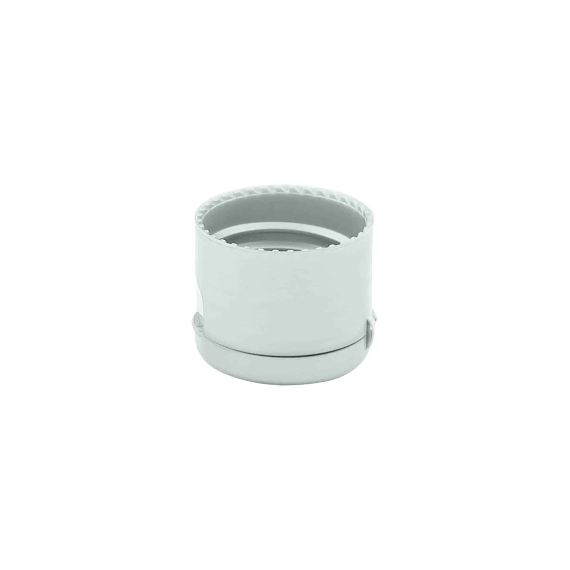 Tapón de rosca con bisagra, plástico de PP, plateado, para boca: 24/410