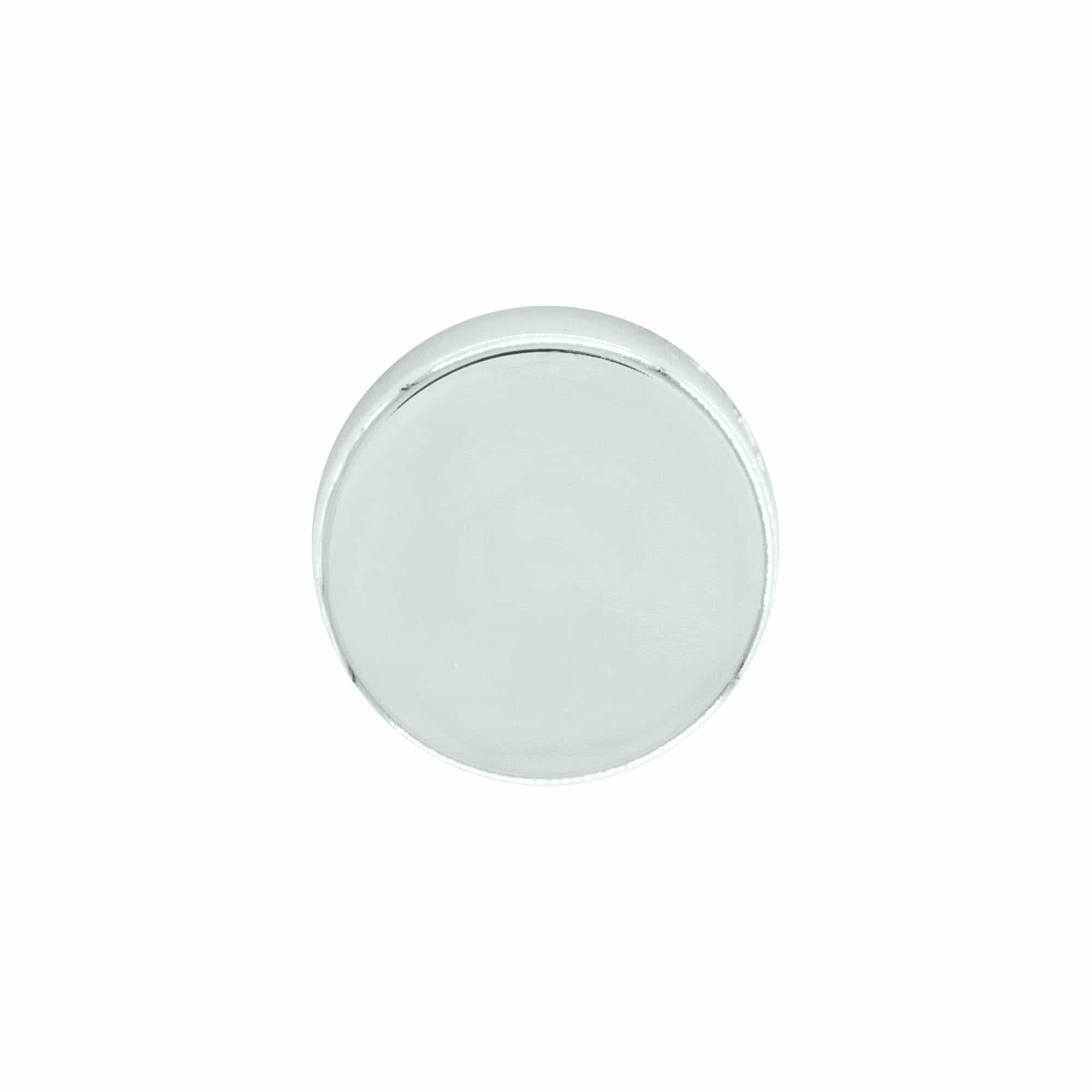 Tapón de rosca, ABS, plateado, para boca: GPI 33/400