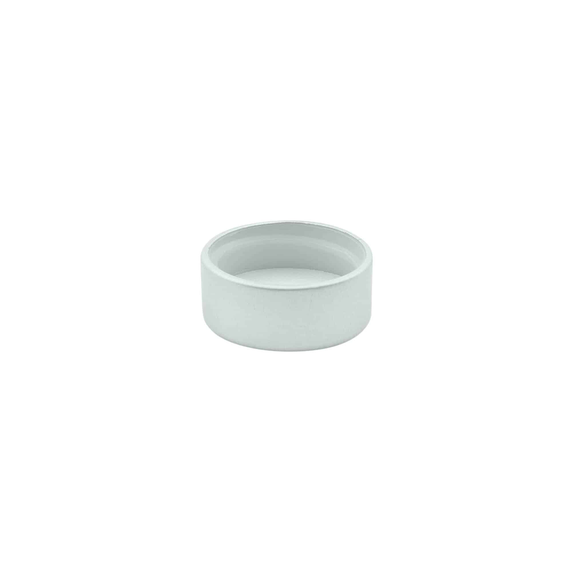 Tapa de rosca, plástico ABS, plateado, para boca: GPI 22/400